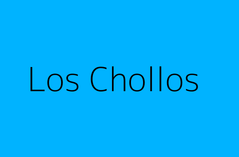 Los Chollos